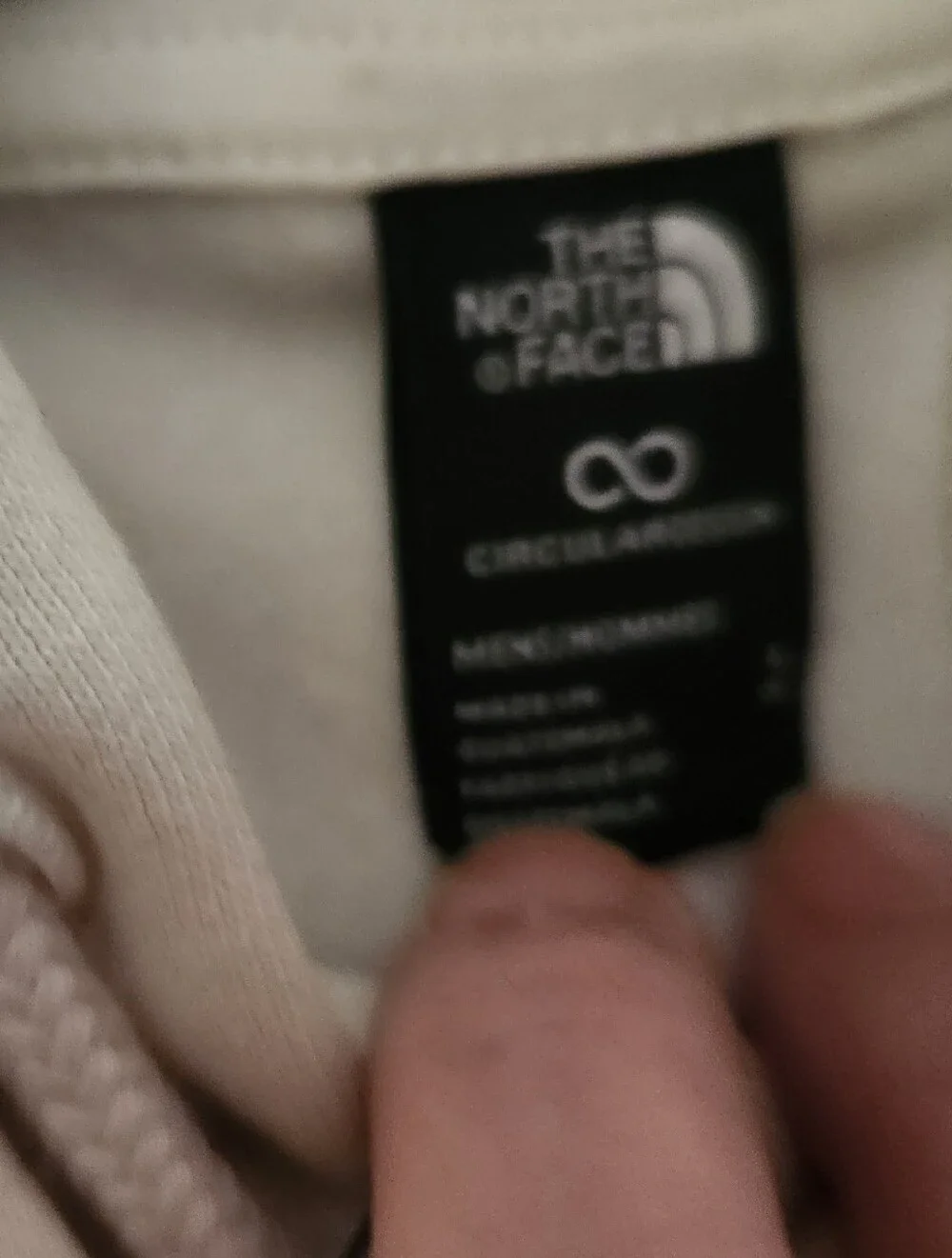 NWT The Northface Mens Evolution Hoodie
